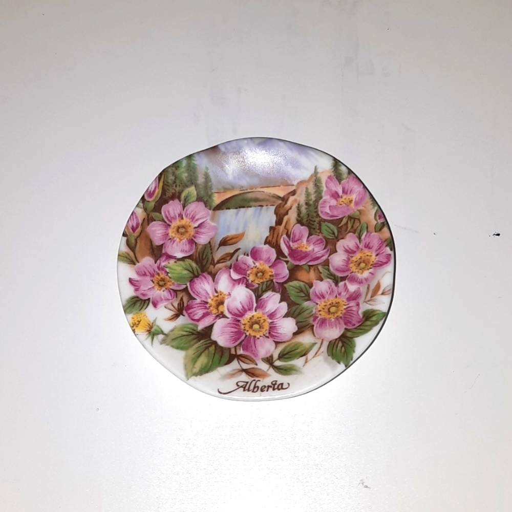 MINI Alberta Bone China Collector plate